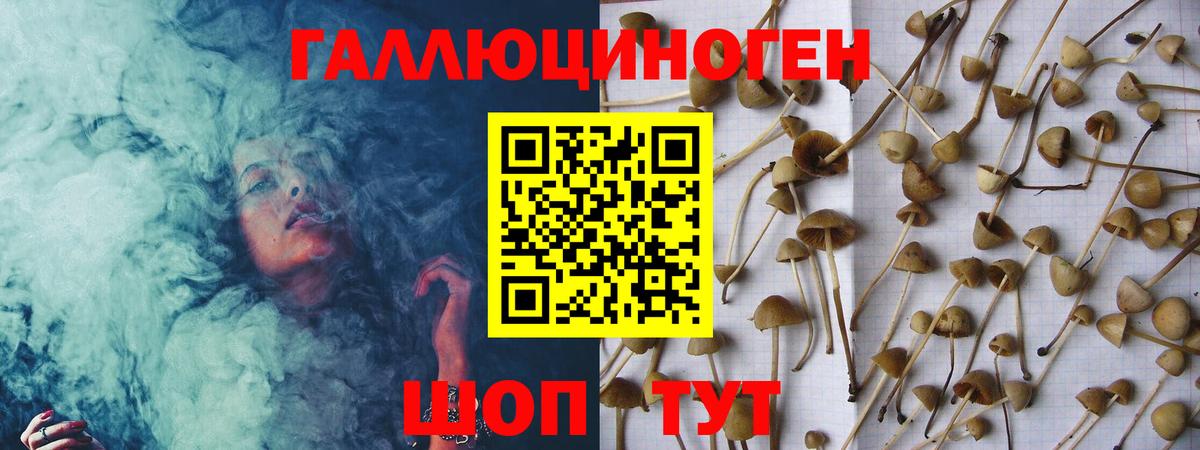 Галлюциногенные грибы MAGIC MUSHROOMS Лабинск